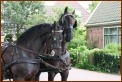 935 Willy & Gerard 079 Met de Koets